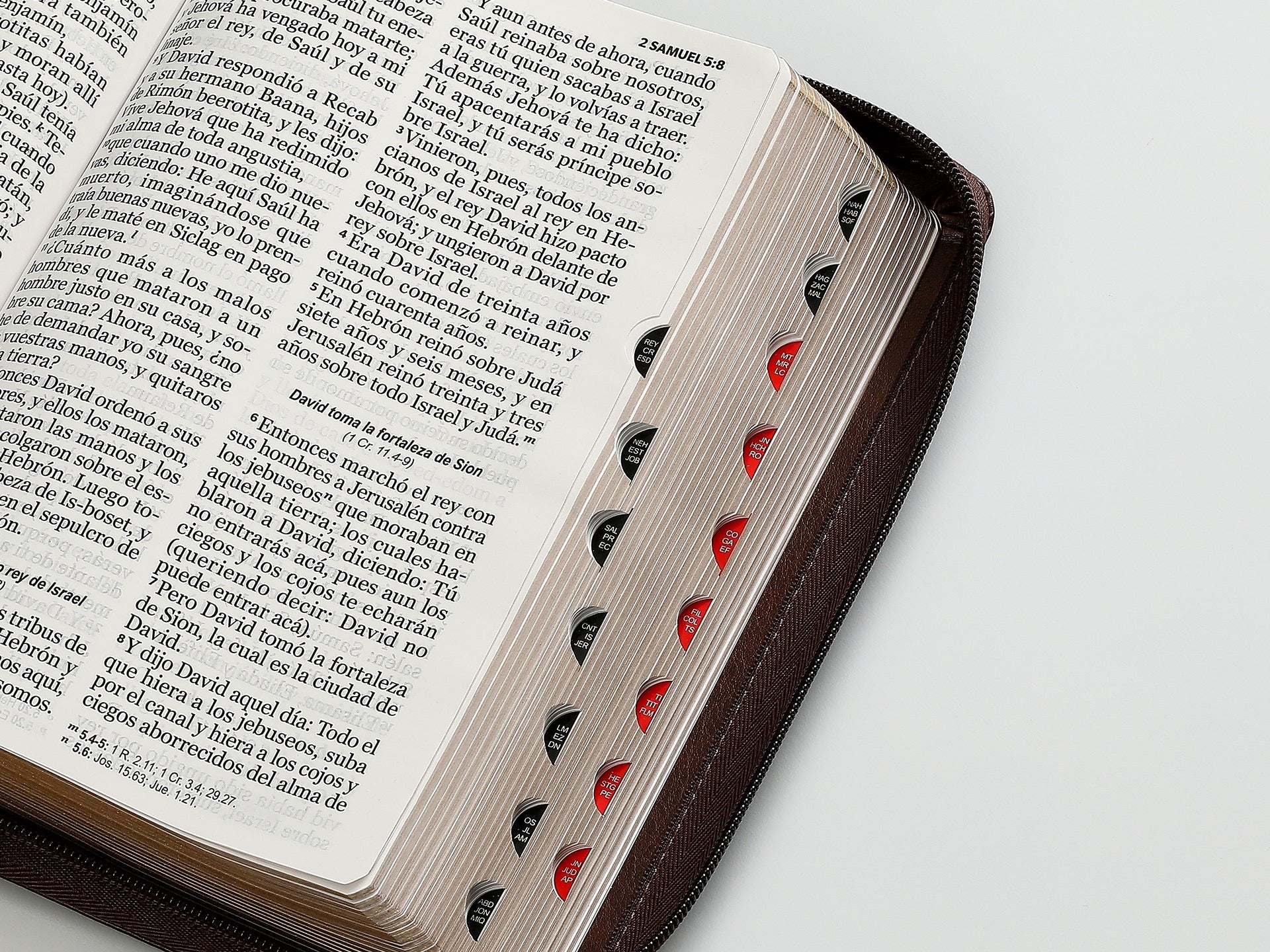 Biblia RVR60 Tamaño manual letra Gigante